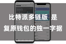 比特派多链版  是复原钱包的独一字据