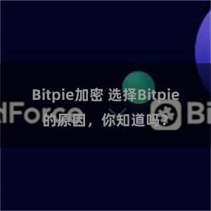 Bitpie加密 选择Bitpie的原因，你知道吗？