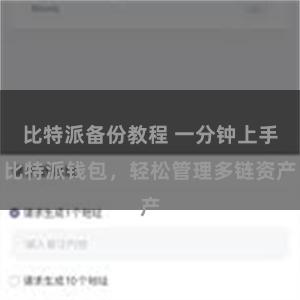 比特派备份教程 一分钟上手比特派钱包，轻松管理多链资产