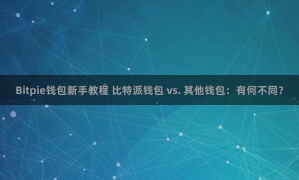 Bitpie钱包新手教程 比特派钱包 vs. 其他钱包：有何不同？