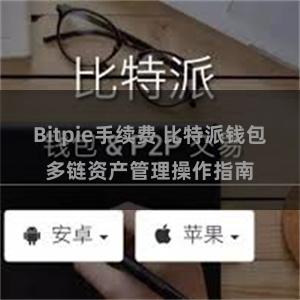 Bitpie手续费 比特派钱包多链资产管理操作指南