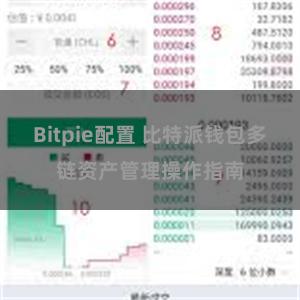 Bitpie配置 比特派钱包多链资产管理操作指南