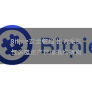 Bitpie安全教程 比特派钱包多链资产管理操作指南