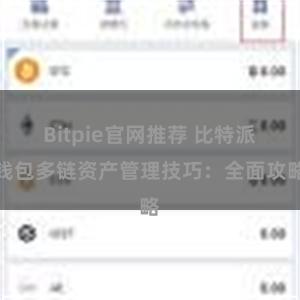 Bitpie官网推荐 比特派钱包多链资产管理技巧：全面攻略