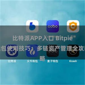 比特派APP入口 Bitpie钱包使用技巧：多链资产管理全攻略