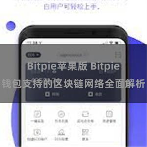 Bitpie苹果版 Bitpie钱包支持的区块链网络全面解析