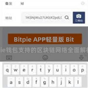 Bitpie APP轻量版 Bitpie钱包支持的区块链网络全面解析