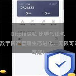 Bitpie隐私 比特派钱包：数字资产管理生态进化，无限可能！