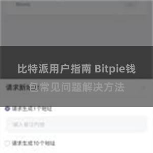 比特派用户指南 Bitpie钱包常见问题解决方法