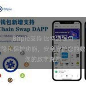 Bitpie支持 比特派钱包：强大隐私保护功能，安全守护您的数字资产