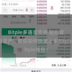 Bitpie多语言支持 轻松管理多链资产，教你如何快速上手Bitpie钱包！