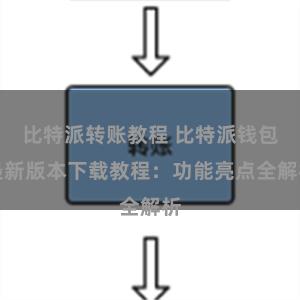 比特派转账教程 比特派钱包最新版本下载教程：功能亮点全解析