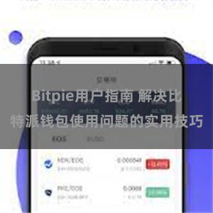 Bitpie用户指南 解决比特派钱包使用问题的实用技巧