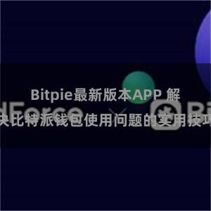 Bitpie最新版本APP 解决比特派钱包使用问题的实用技巧