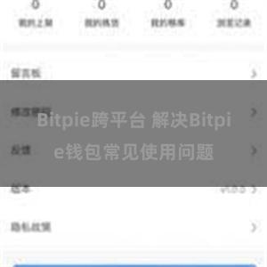 Bitpie跨平台 解决Bitpie钱包常见使用问题