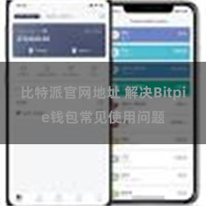 比特派官网地址 解决Bitpie钱包常见使用问题