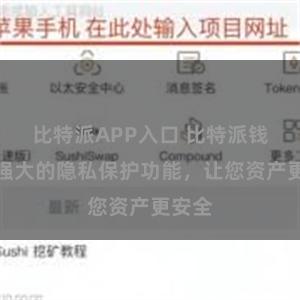 比特派APP入口 比特派钱包：强大的隐私保护功能，让您资产更安全