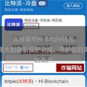 比特派币种 Bitpie钱包：强大的隐私保护功能，守护您的资产