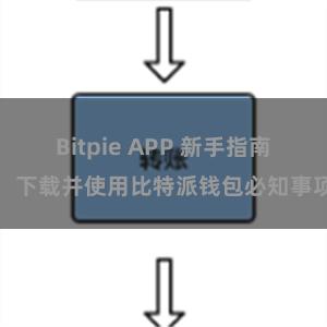 Bitpie APP 新手指南：下载并使用比特派钱包必知事项