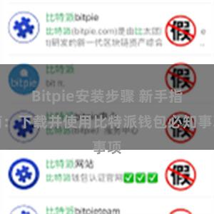 Bitpie安装步骤 新手指南：下载并使用比特派钱包必知事项