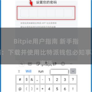 Bitpie用户指南 新手指南：下载并使用比特派钱包必知事项