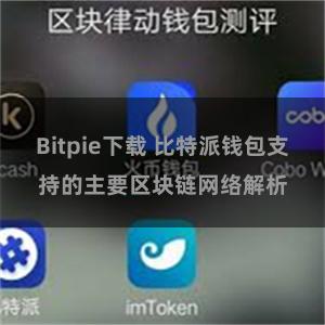 Bitpie下载 比特派钱包支持的主要区块链网络解析