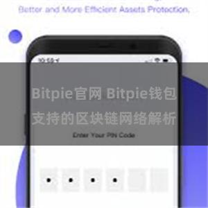 Bitpie官网 Bitpie钱包支持的区块链网络解析