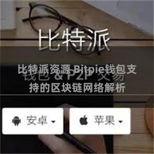 比特派资源 Bitpie钱包支持的区块链网络解析