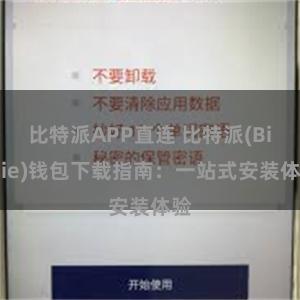 比特派APP直连 比特派(Bitpie)钱包下载指南：一站式安装体验