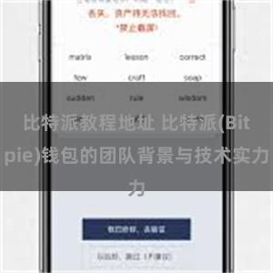 比特派教程地址 比特派(Bitpie)钱包的团队背景与技术实力