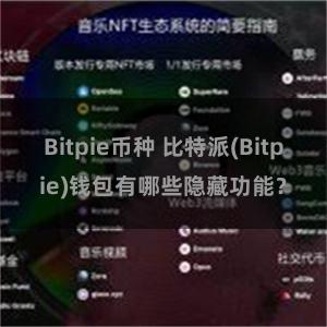 Bitpie币种 比特派(Bitpie)钱包有哪些隐藏功能？