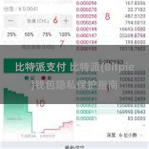 比特派支付 比特派(Bitpie)钱包隐私保护指南