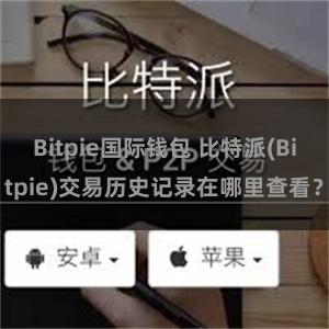 Bitpie国际钱包 比特派(Bitpie)交易历史记录在哪里查看？