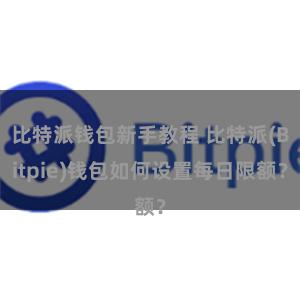 比特派钱包新手教程 比特派(Bitpie)钱包如何设置每日限额？