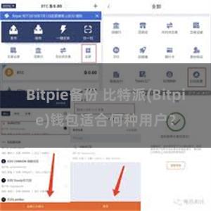 Bitpie备份 比特派(Bitpie)钱包适合何种用户？