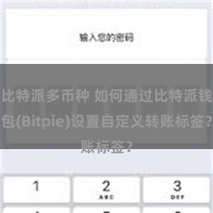 比特派多币种 如何通过比特派钱包(Bitpie)设置自定义转账标签？