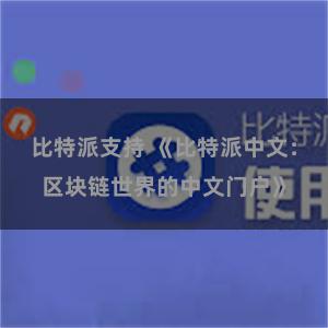 比特派支持 《比特派中文：区块链世界的中文门户》