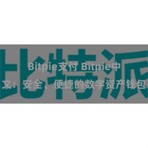 Bitpie支付 Bitpie中文：安全、便捷的数字资产钱包