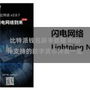 比特派钱包新手教程 Bitpie支持的数字货币种类一览