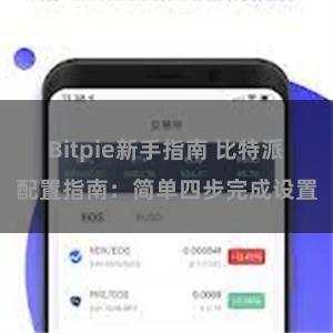 Bitpie新手指南 比特派配置指南：简单四步完成设置