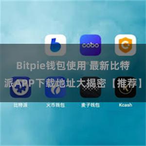 Bitpie钱包使用 最新比特派APP下载地址大揭密【推荐】