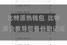 比特派热钱包  比特派会教导您备份助记词