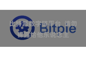 比特派数字链平台  请勿裸露给他东说念主