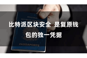 比特派区块安全  是复原钱包的独一凭据