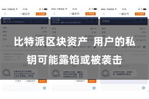 比特派区块资产  用户的私钥可能露馅或被袭击