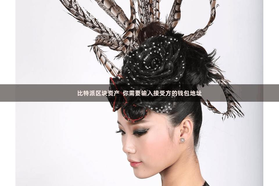 比特派区块资产  你需要输入接受方的钱包地址
