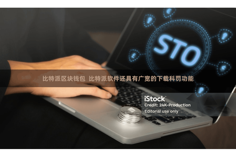 比特派区块钱包  比特派软件还具有广宽的下载科罚功能