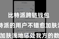 比特派跨链钱包  让比特派的用户不错愈加肤浅地惩处我方的数字钞票