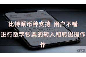 比特派币种支持  用户不错进行数字钞票的转入和转出操作