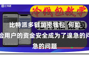 比特派多链加密钱包  何如保险用户的资金安全成为了遑急的问题